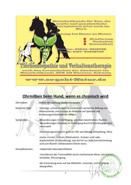 Ohrmilben beim Hund, wenn es chronisch wird