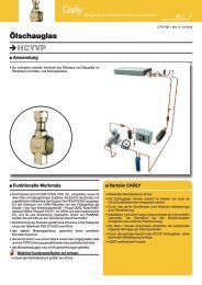 Technische Dokumentation (pdf - 287 ko) - Carly