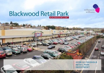 Blackwood Retail Park - Wilkinson Williams