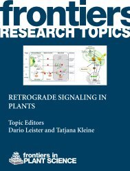 Retrograde Signaling in Plants - Frontiers