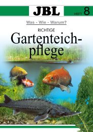 Gartenteichpflege - Willkommen bei Aqua Terra Point