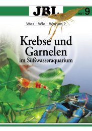 Krebse Und Garnelen - Tierbedarf Belitz