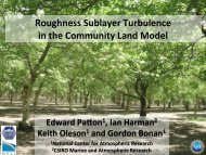 Roughness Sublayer Turbulence in the Community Land ... - cmmap