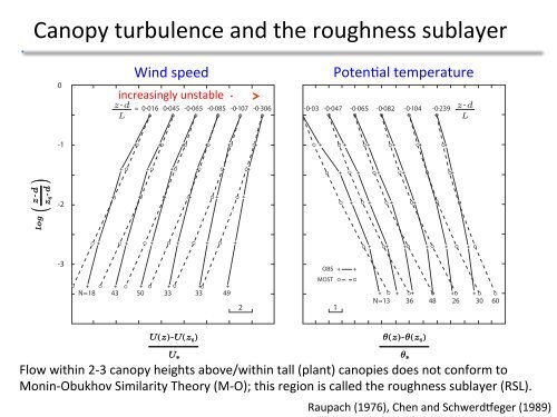 Roughness Sublayer Turbulence in the Community Land ... - cmmap