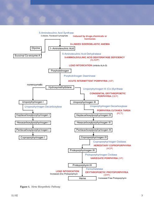 The Challenges Of Testing For And Diagnosing Porphyrias