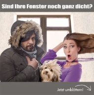 Die Schreiner - Fenster.pdf