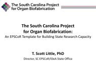 The South Carolina Project for Organ ... - SC EPSCoR/IDeA