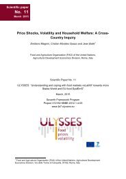 ULYSSES Scientific Paper 11_Price Shocks, Volatility and Household Welfare A Cross-Country Inquiry