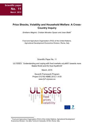 ULYSSES Scientific Paper 11_Price Shocks, Volatility and Household Welfare A Cross-Country Inquiry