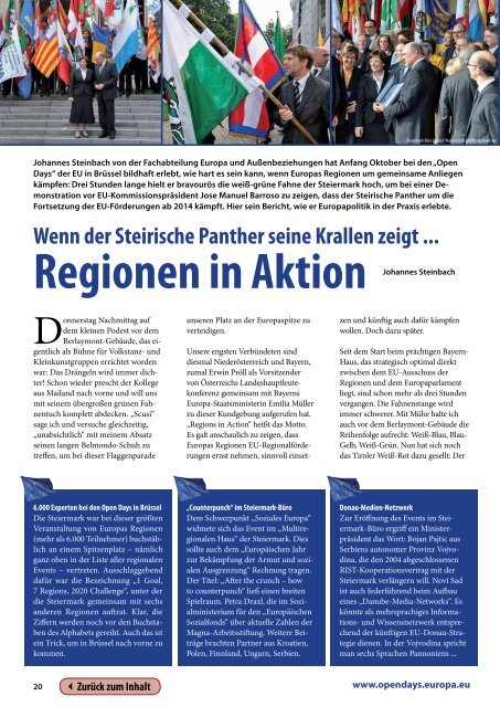 Steiermark Report November 2010 - BH Liezen