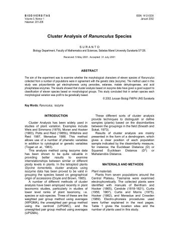 Cluster Analysis of Ranunculus Species