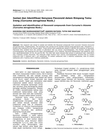 Isolasi dan Identifikasi Senyawa Flavonoid dalam Rimpang Temu ...