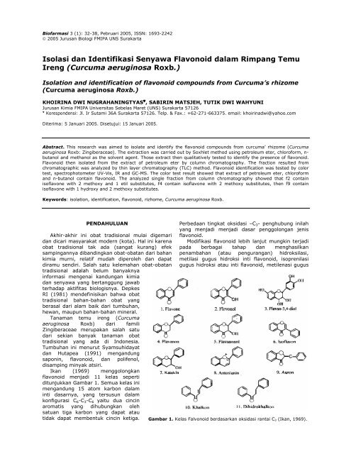 Isolasi dan Identifikasi Senyawa Flavonoid dalam Rimpang Temu ...