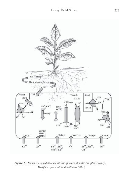 Physiology and Molecular Biology of Stress ... - KHAM PHA MOI