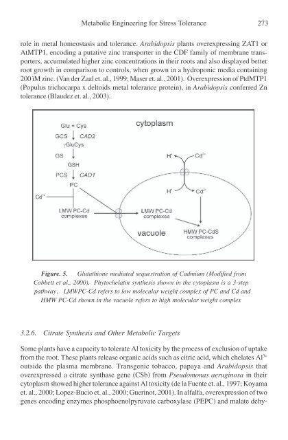 Physiology and Molecular Biology of Stress ... - KHAM PHA MOI