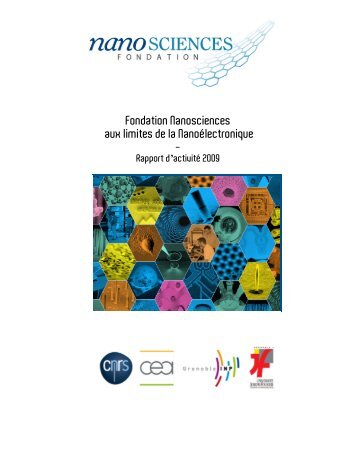 Rapport d'activitÃ© 2009 - Fondation Nanosciences