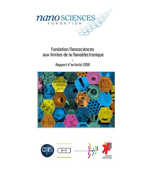 Rapport d'activitÃ© 2009 - Fondation Nanosciences