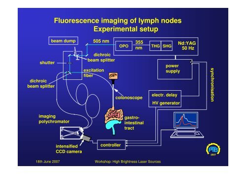 Laser Induced Fluorescence Spectroscopy and ... - brighter.eu