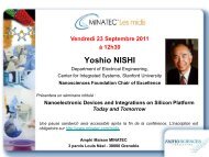 Yoshio NISHI - Fondation Nanosciences