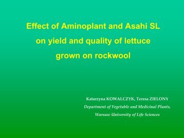 Effect of Aminoplant and Asahi SL on yield and quality of lettuce ...
