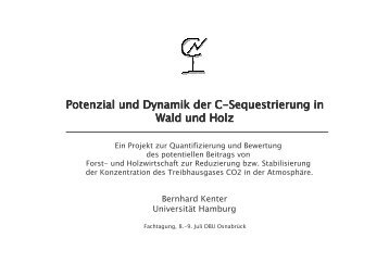 Potenzial und Dynamik der C-Sequestrierung in Wald und Holz