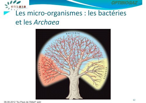 Pdf - Frédéric Borges, INPL - Ensaia - Optibiogaz