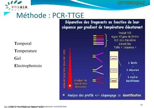 Pdf - Frédéric Borges, INPL - Ensaia - Optibiogaz