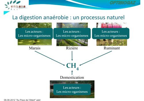 Pdf - Frédéric Borges, INPL - Ensaia - Optibiogaz