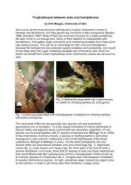 Trophobioses between ants and hemipterans - AntBase.net