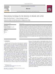 Histochemical technique for the detection of chloride cells in fish ...