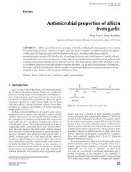 Antimicrobial properties of allicin from garlic