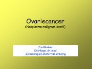 Ovariecancer (Neoplasma malignum ovarii)