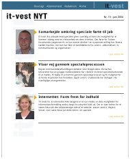 it-vest NYT - nr. 13 juni 2004