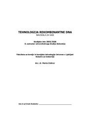 verzijo v formatu PDF - IJS