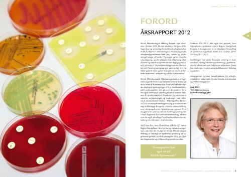 Ãrsrapport 2012 - skousgaard