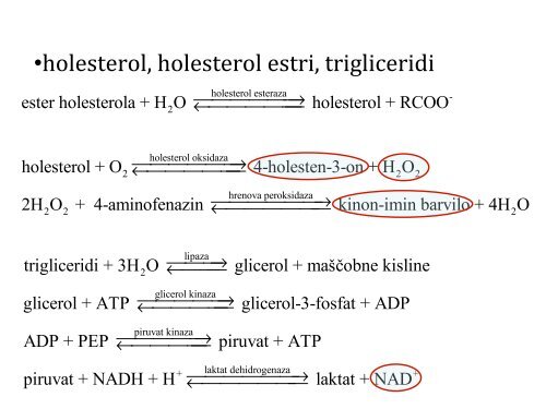 DoloÄanje encimske aktivnosti v kliniÄne namene