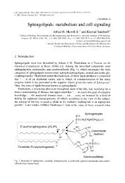 Sphingolipids: metabolism and cell signaling - Department of ...