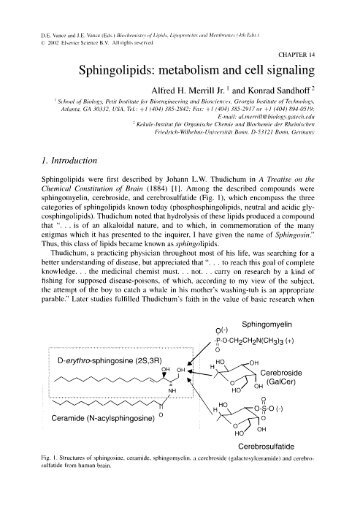 Sphingolipids: metabolism and cell signaling - Department of ...