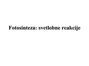Fotosinteza