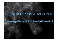 BIOENERGETIKA IN METABOLIZEM Bioenergetika in tipi ...
