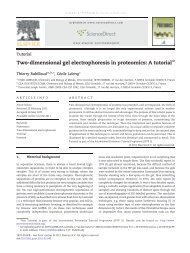 Two-dimensional gel electrophoresis in proteomics: A tutorial