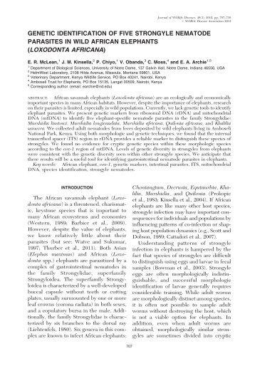 genetic identification of five strongyle nematode parasites in wild ...