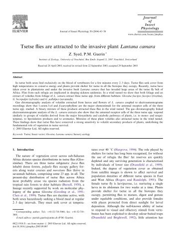 Tsetse flies are attracted to the invasive plant Lantana camara