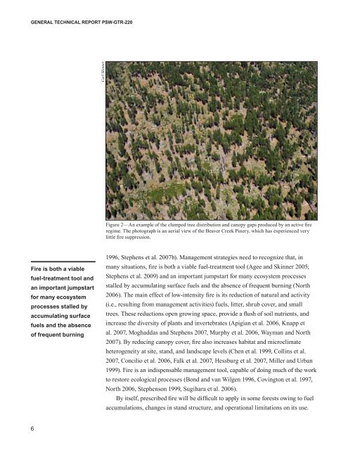 An Ecosystem Management Strategy for Sierran Mixed-Conifer Forests