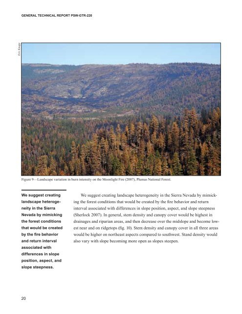 An Ecosystem Management Strategy for Sierran Mixed-Conifer Forests