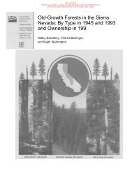Old-Growth Forests in the Sierra Nevada - Sierra Forest Legacy