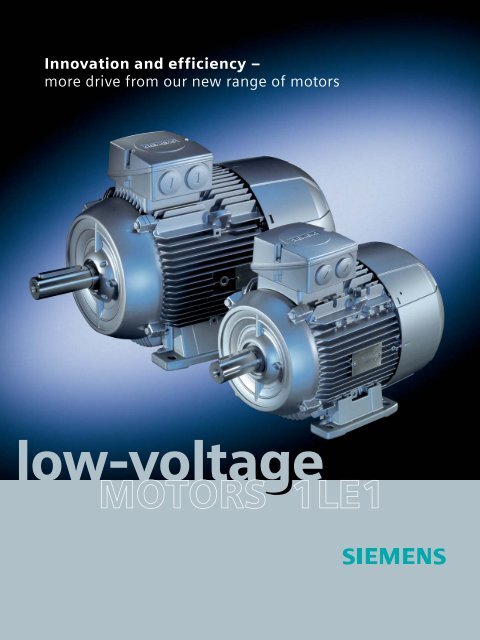 low-voltage MOTORS 1LE1 - GRUP DAP