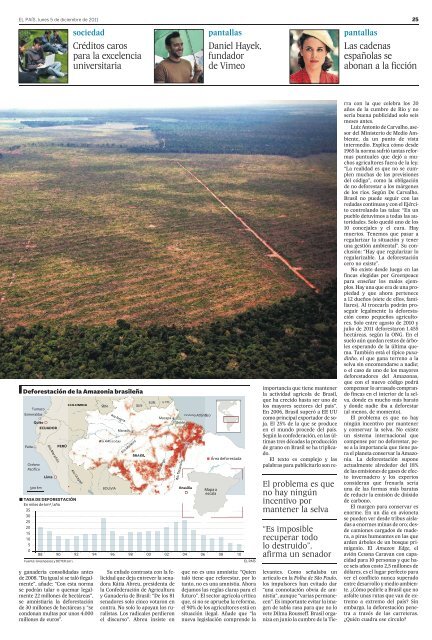 Una ley de la selva para la Amazonia. Tasa de desforestaciÃ³n de la ...