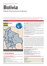 bolivia (ficha pais) - El Diario Exterior