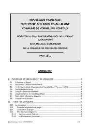 PLU partie I rapport - Cornillon-Confoux